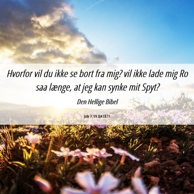 Picture 06 - Job 7:19 DA1871 - Hvorfor vil du ikke se bort fra mig? vil ikke - Bible Verse Picture