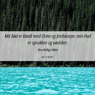 Picture 06 - Job 7:5 DA1871 - Mit Kød er klædt med Orme og Jordskorpe; min - Bible Verse Picture