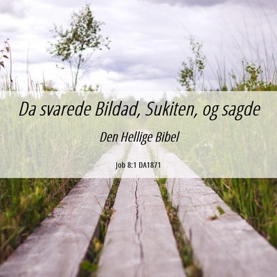 Picture 06 - Job 8:1 DA1871 - Da svarede Bildad, Sukiten, og - Bible Verse Picture