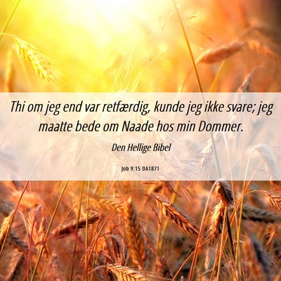 Picture 06 - Job 9:15 DA1871 - Thi om jeg end var retfærdig, kunde jeg ikke - Bible Verse Picture