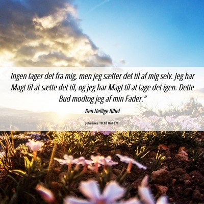 Picture 06 - Johannes 10:18 DA1871 - Ingen tager det fra mig, men jeg sætter det til - Bible Verse Picture