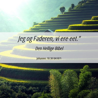 Picture 06 - Johannes 10:30 DA1871 - Jeg og Faderen, vi ere - Bible Verse Picture