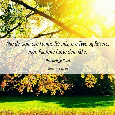 Picture 06 - Johannes 10:8 DA1871 - Alle de, som ere komne før mig, ere Tyve og - Bible Verse Picture