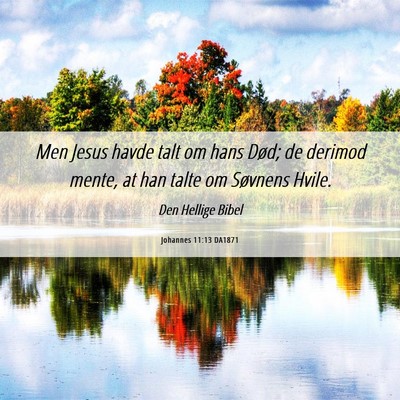 Picture 06 - Johannes 11:13 DA1871 - Men Jesus havde talt om hans Død; de derimod - Bible Verse Picture