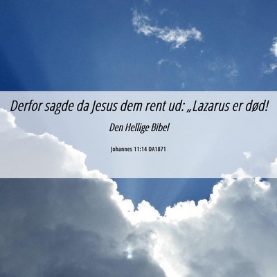 Picture 06 - Johannes 11:14 DA1871 - Derfor sagde da Jesus dem rent ud: „Lazarus er - Bible Verse Picture