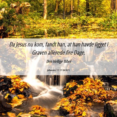 Picture 06 - Johannes 11:17 DA1871 - Da Jesus nu kom, fandt han, at han havde ligget i - Bible Verse Picture