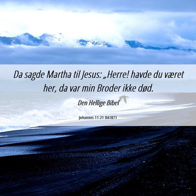Picture 06 - Johannes 11:21 DA1871 - Da sagde Martha til Jesus: „Herre! havde du - Bible Verse Picture