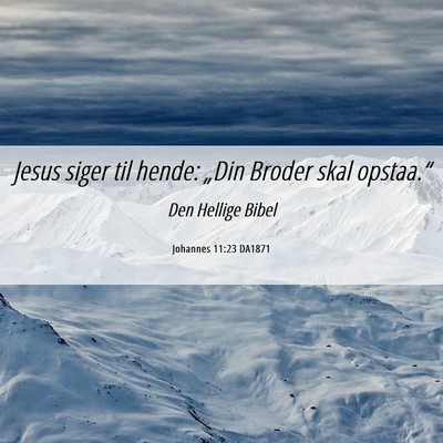 Picture 06 - Johannes 11:23 DA1871 - Jesus siger til hende: „Din Broder skal - Bible Verse Picture