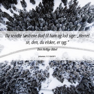 Picture 06 - Johannes 11:3 DA1871 - Da sendte Søstrene Bud til ham og lod sige: - Bible Verse Picture