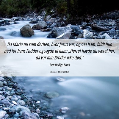 Picture 06 - Johannes 11:32 DA1871 - Da Maria nu kom derhen, hvor Jesus var, og saa - Bible Verse Picture