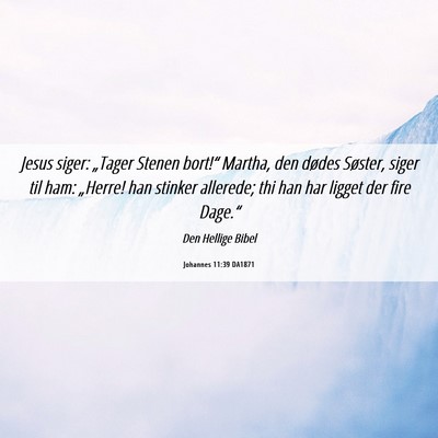 Picture 06 - Johannes 11:39 DA1871 - Jesus siger: „Tager Stenen bort!“ Martha, den - Bible Verse Picture