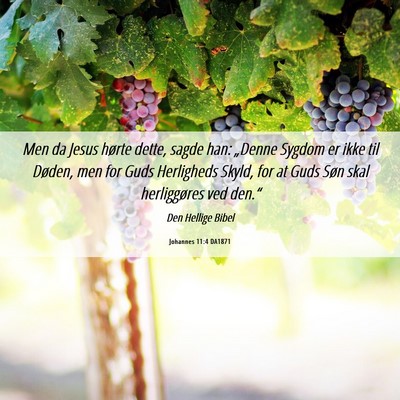 Picture 06 - Johannes 11:4 DA1871 - Men da Jesus hørte dette, sagde han: „Denne - Bible Verse Picture