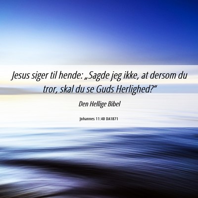 Picture 06 - Johannes 11:40 DA1871 - Jesus siger til hende: „Sagde jeg ikke, at - Bible Verse Picture