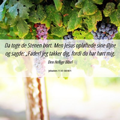 Picture 06 - Johannes 11:41 DA1871 - Da toge de Stenen bort. Men Jesus opløftede sine - Bible Verse Picture