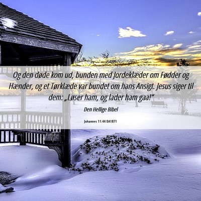 Picture 06 - Johannes 11:44 DA1871 - Og den døde kom ud, bunden med Jordeklæder om - Bible Verse Picture