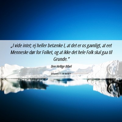 Picture 06 - Johannes 11:50 DA1871 - „I vide intet; ej heller betænke I, at det er - Bible Verse Picture