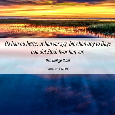 Picture 06 - Johannes 11:6 DA1871 - Da han nu hørte, at han var syg, blev han dog to - Bible Verse Picture
