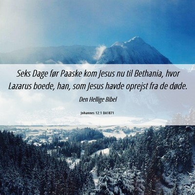 Picture 06 - Johannes 12:1 DA1871 - Seks Dage før Paaske kom Jesus nu til Bethania, - Bible Verse Picture
