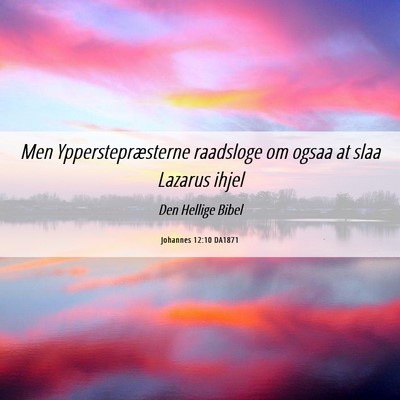 Picture 06 - Johannes 12:10 DA1871 - Men Ypperstepræsterne raadsloge om ogsaa at slaa - Bible Verse Picture