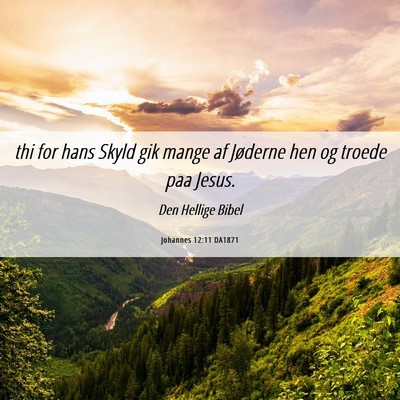 Picture 06 - Johannes 12:11 DA1871 - thi for hans Skyld gik mange af Jøderne hen og - Bible Verse Picture