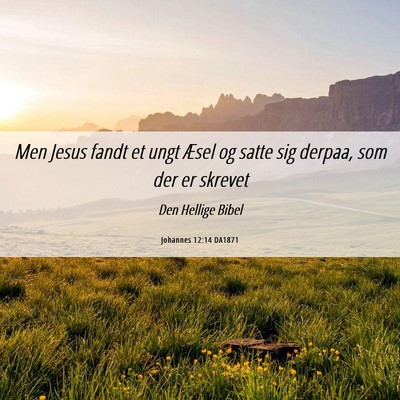 Picture 06 - Johannes 12:14 DA1871 - Men Jesus fandt et ungt Æsel og satte sig - Bible Verse Picture