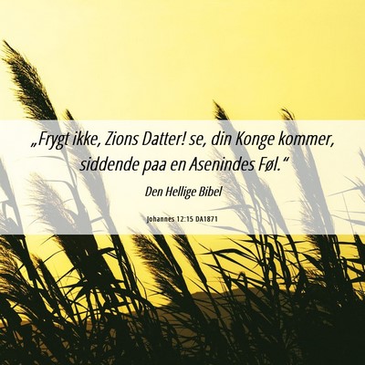 Picture 06 - Johannes 12:15 DA1871 - „Frygt ikke, Zions Datter! se, din Konge - Bible Verse Picture