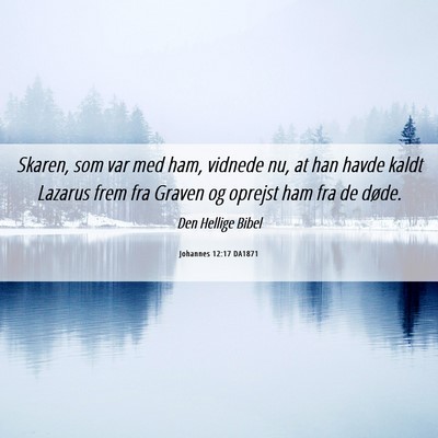 Picture 06 - Johannes 12:17 DA1871 - Skaren, som var med ham, vidnede nu, at han havde - Bible Verse Picture