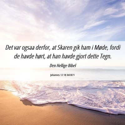 Picture 06 - Johannes 12:18 DA1871 - Det var ogsaa derfor, at Skaren gik ham i Møde, - Bible Verse Picture