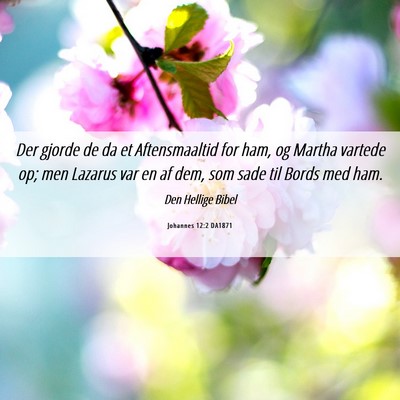 Picture 06 - Johannes 12:2 DA1871 - Der gjorde de da et Aftensmaaltid for ham, og - Bible Verse Picture
