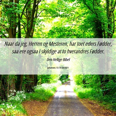 Picture 06 - Johannes 13:14 DA1871 - Naar da jeg, Herren og Mesteren, har toet eders - Bible Verse Picture