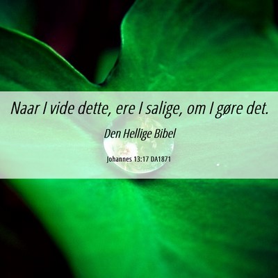 Picture 06 - Johannes 13:17 DA1871 - Naar I vide dette, ere I salige, om I gøre - Bible Verse Picture