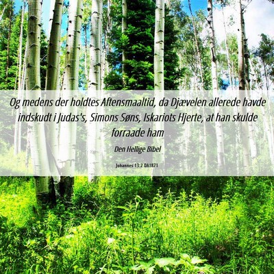 Picture 06 - Johannes 13:2 DA1871 - Og medens der holdtes Aftensmaaltid, da Djævelen - Bible Verse Picture