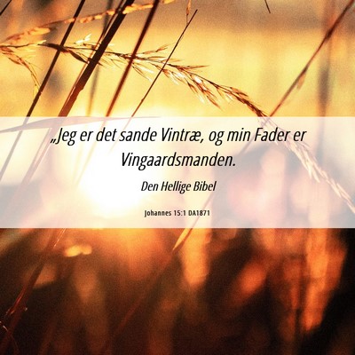 Picture 06 - Johannes 15:1 DA1871 - „Jeg er det sande Vintræ, og min Fader er - Bible Verse Picture