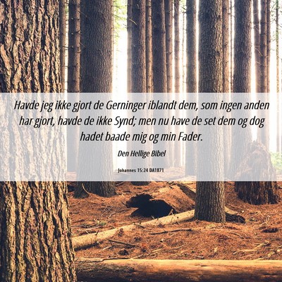 Picture 06 - Johannes 15:24 DA1871 - Havde jeg ikke gjort de Gerninger iblandt dem, - Bible Verse Picture