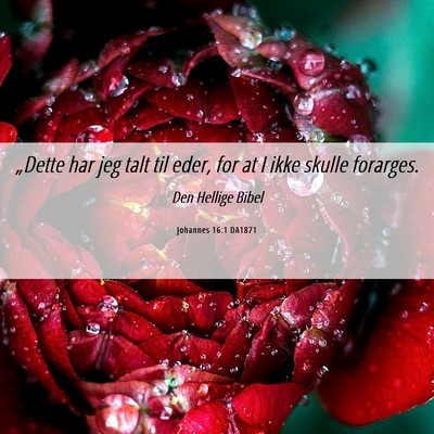 Picture 06 - Johannes 16:1 DA1871 - „Dette har jeg talt til eder, for at I ikke - Bible Verse Picture