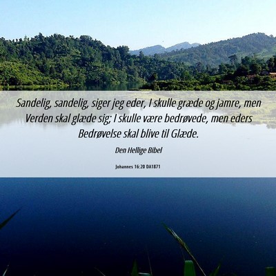 Picture 06 - Johannes 16:20 DA1871 - Sandelig, sandelig, siger jeg eder, I skulle - Bible Verse Picture