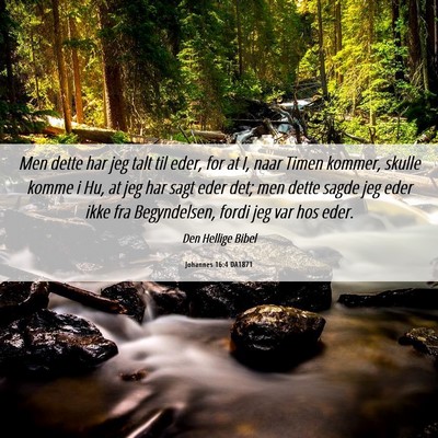 Picture 06 - Johannes 16:4 DA1871 - Men dette har jeg talt til eder, for at I, naar - Bible Verse Picture