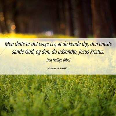 Picture 06 - Johannes 17:3 DA1871 - Men dette er det evige Liv, at de kende dig, den - Bible Verse Picture