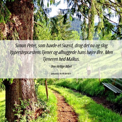 Picture 06 - Johannes 18:10 DA1871 - Simon Peter, som havde et Sværd, drog det nu og - Bible Verse Picture