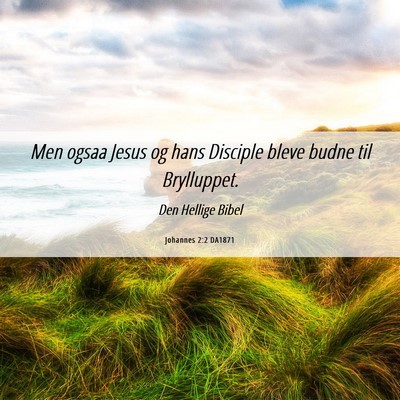 Picture 06 - Johannes 2:2 DA1871 - Men ogsaa Jesus og hans Disciple bleve budne til - Bible Verse Picture
