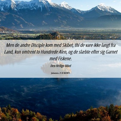 Picture 06 - Johannes 21:8 DA1871 - Men de andre Disciple kom med Skibet, thi de vare - Bible Verse Picture