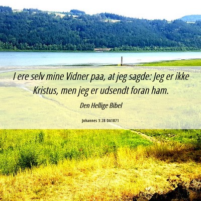 Picture 06 - Johannes 3:28 DA1871 - I ere selv mine Vidner paa, at jeg sagde: Jeg er - Bible Verse Picture