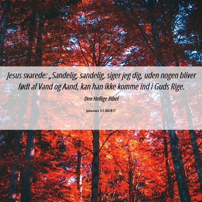 Picture 06 - Johannes 3:5 DA1871 - Jesus svarede: „Sandelig, sandelig, siger jeg - Bible Verse Picture