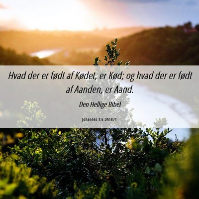 Picture 06 - Johannes 3:6 DA1871 - Hvad der er født af Kødet, er Kød; og hvad der - Bible Verse Picture