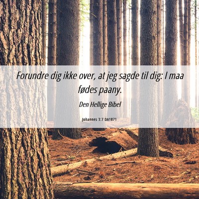 Picture 06 - Johannes 3:7 DA1871 - Forundre dig ikke over, at jeg sagde til dig: I - Bible Verse Picture