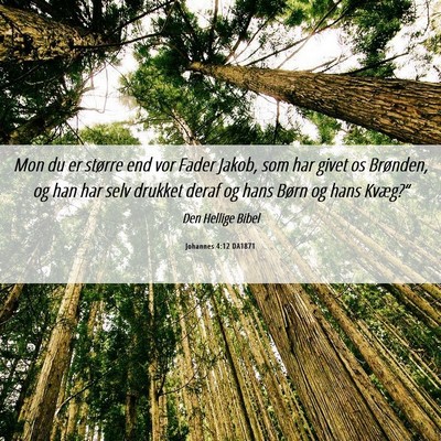 Picture 06 - Johannes 4:12 DA1871 - Mon du er større end vor Fader Jakob, som har - Bible Verse Picture