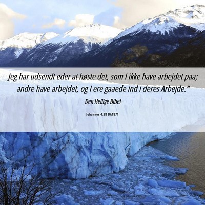 Picture 06 - Johannes 4:38 DA1871 - Jeg har udsendt eder at høste det, som I ikke - Bible Verse Picture