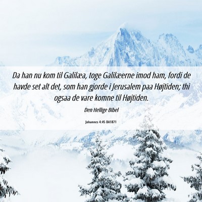 Picture 06 - Johannes 4:45 DA1871 - Da han nu kom til Galilæa, toge Galilæerne imod - Bible Verse Picture