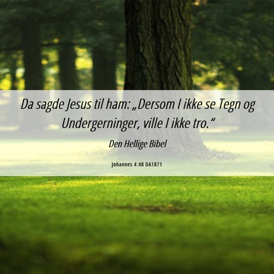 Picture 06 - Johannes 4:48 DA1871 - Da sagde Jesus til ham: „Dersom I ikke se Tegn - Bible Verse Picture