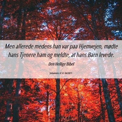 Picture 06 - Johannes 4:51 DA1871 - Men allerede medens han var paa Hjemvejen, mødte - Bible Verse Picture